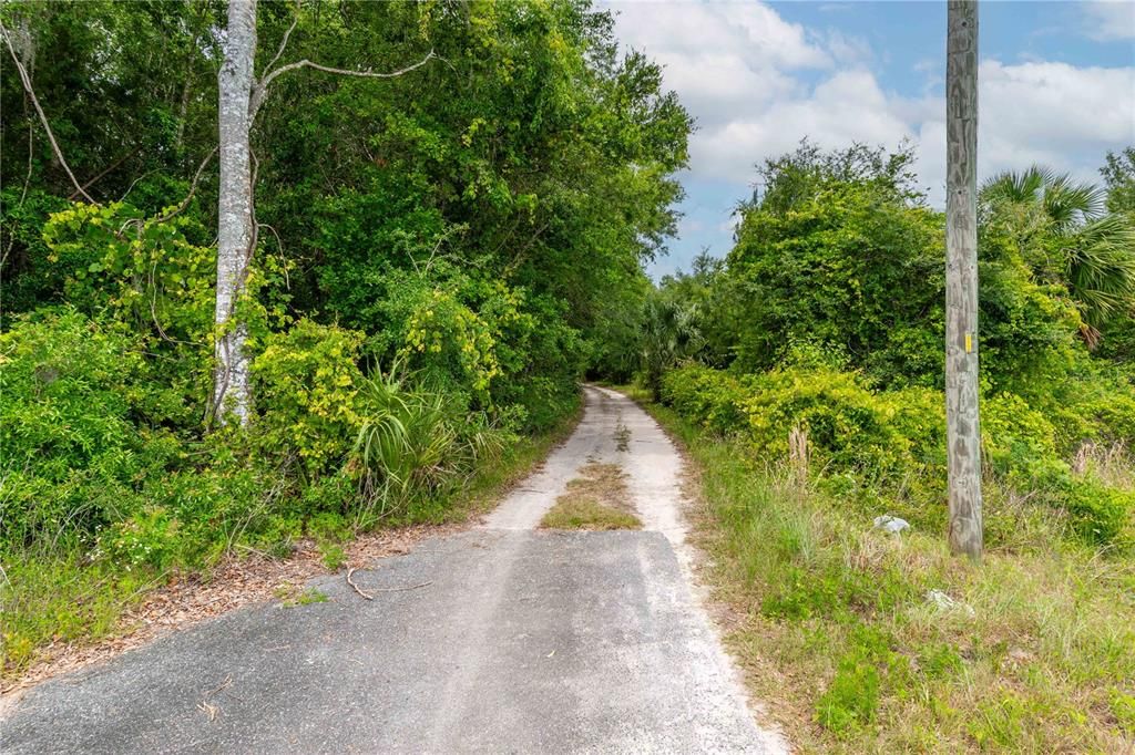 待售: $375,000 (3 贝兹, 2 浴室, 1560 平方英尺)