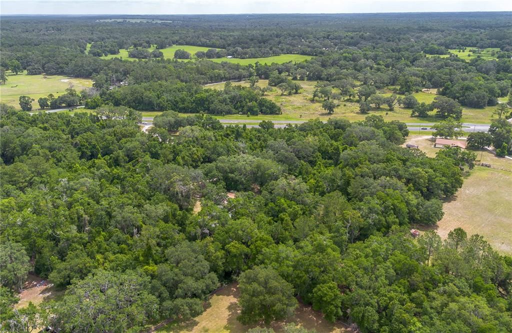 待售: $375,000 (3 贝兹, 2 浴室, 1560 平方英尺)