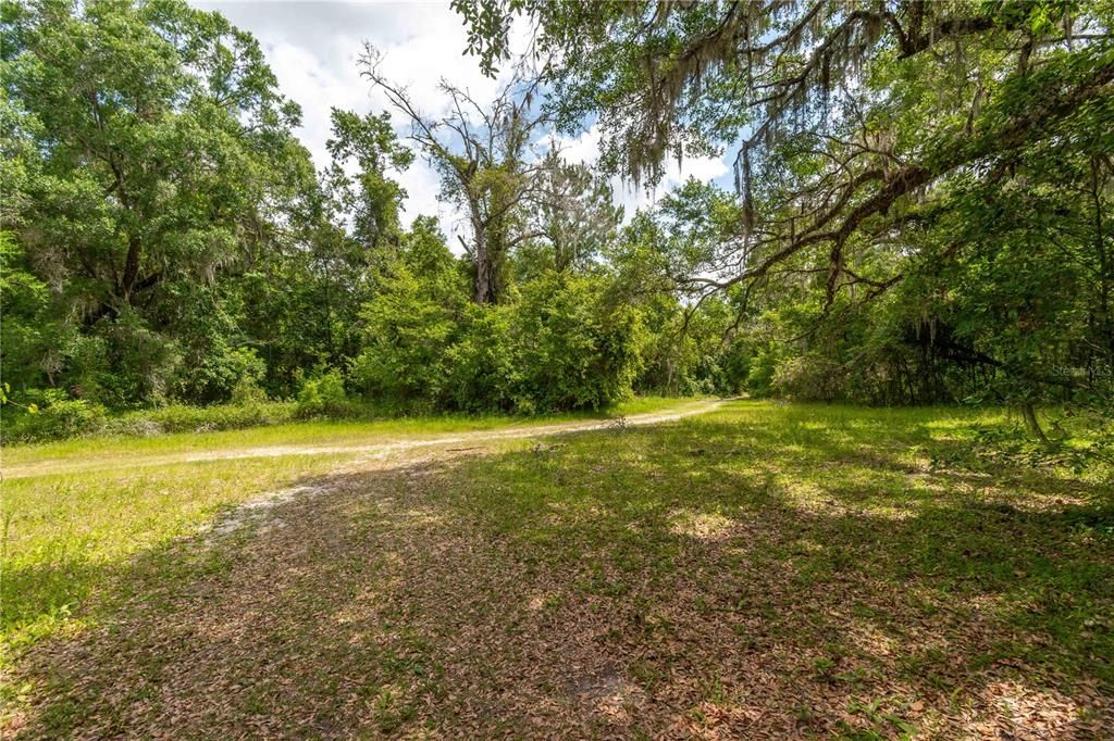 待售: $375,000 (3 贝兹, 2 浴室, 1560 平方英尺)