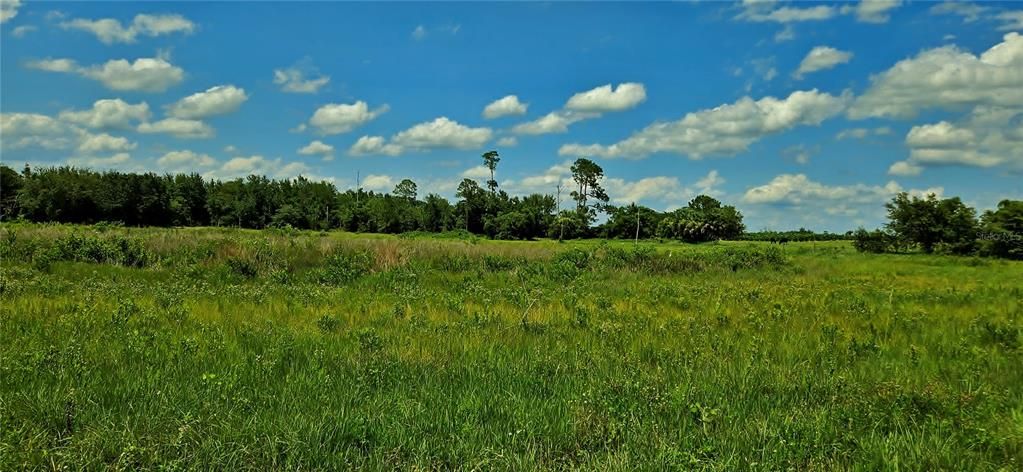 На продажу: $616,000 (22.16 acres)