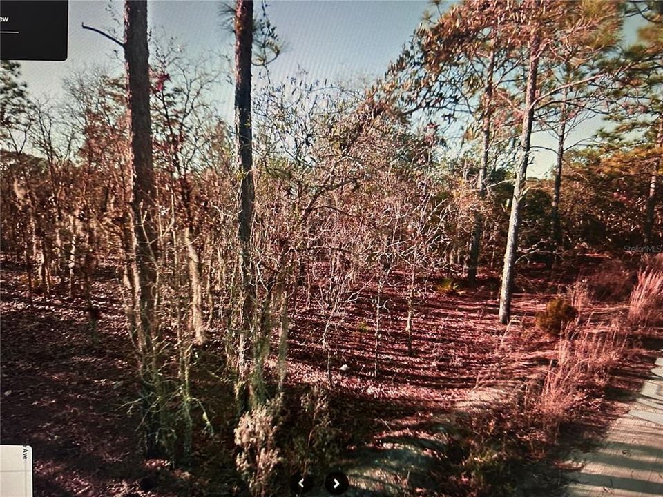 En Venta: $25,000 (1.25 acres)