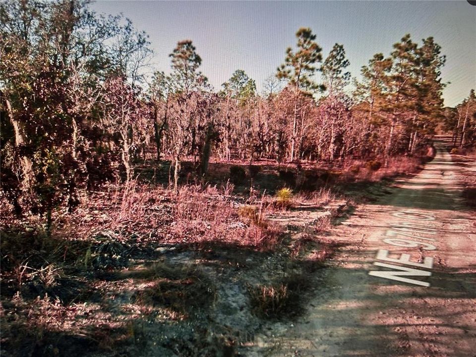 En Venta: $25,000 (1.25 acres)