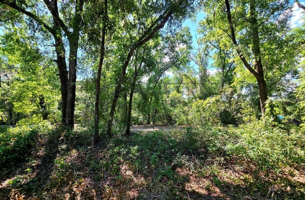 Recently Sold: $7,500 (0.32 acres)