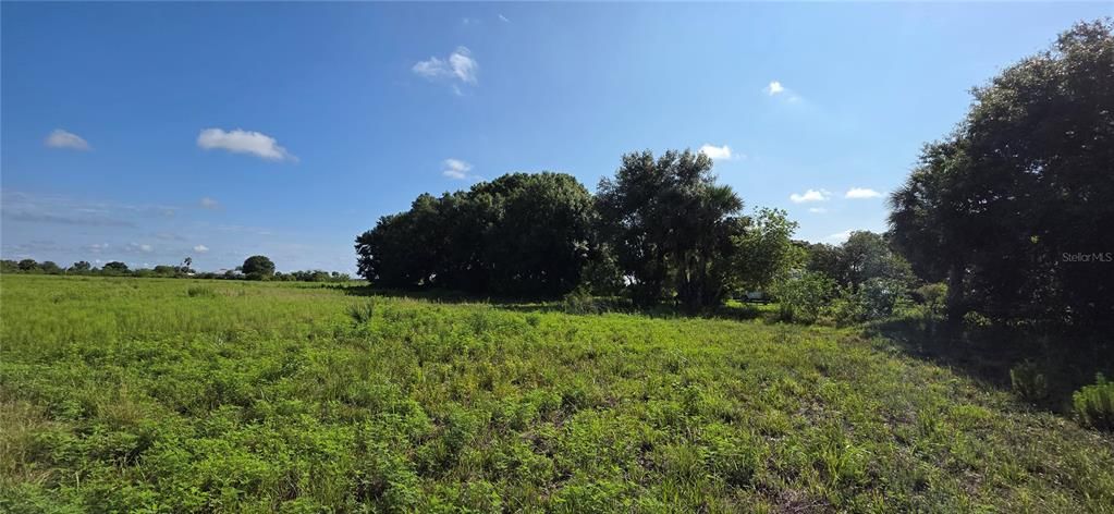 Под контрактом: $350,000 (10.00 acres)