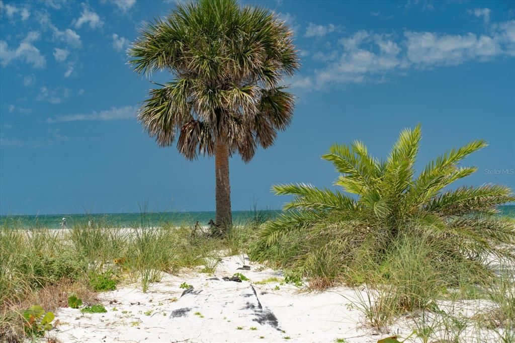 For Sale: $3,900,000 (0.16 acres)