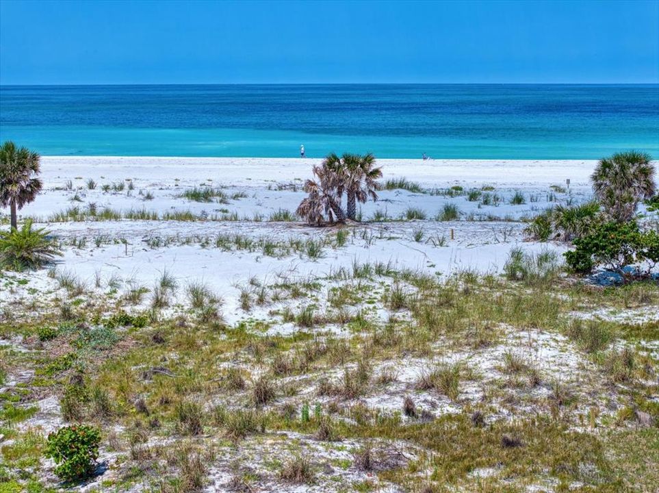 For Sale: $3,900,000 (0.16 acres)