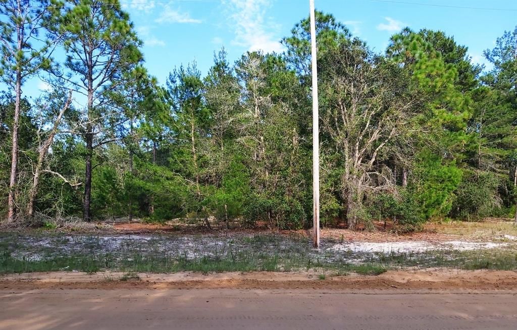 最近售出: $9,950 (0.47 acres)