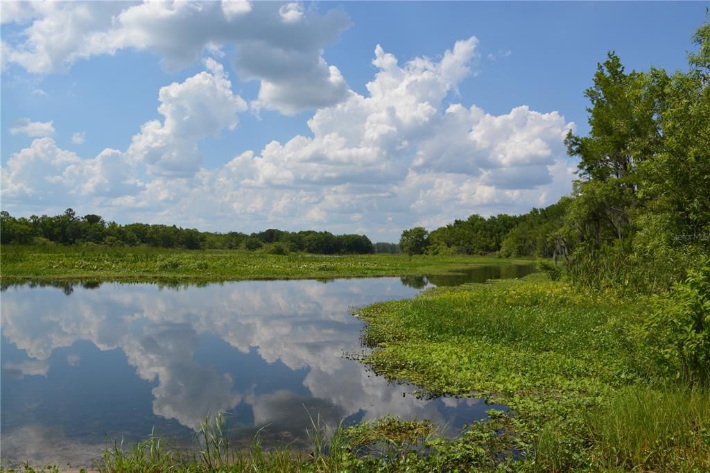 待售: $169,999 (3 贝兹, 2 浴室, 1080 平方英尺)