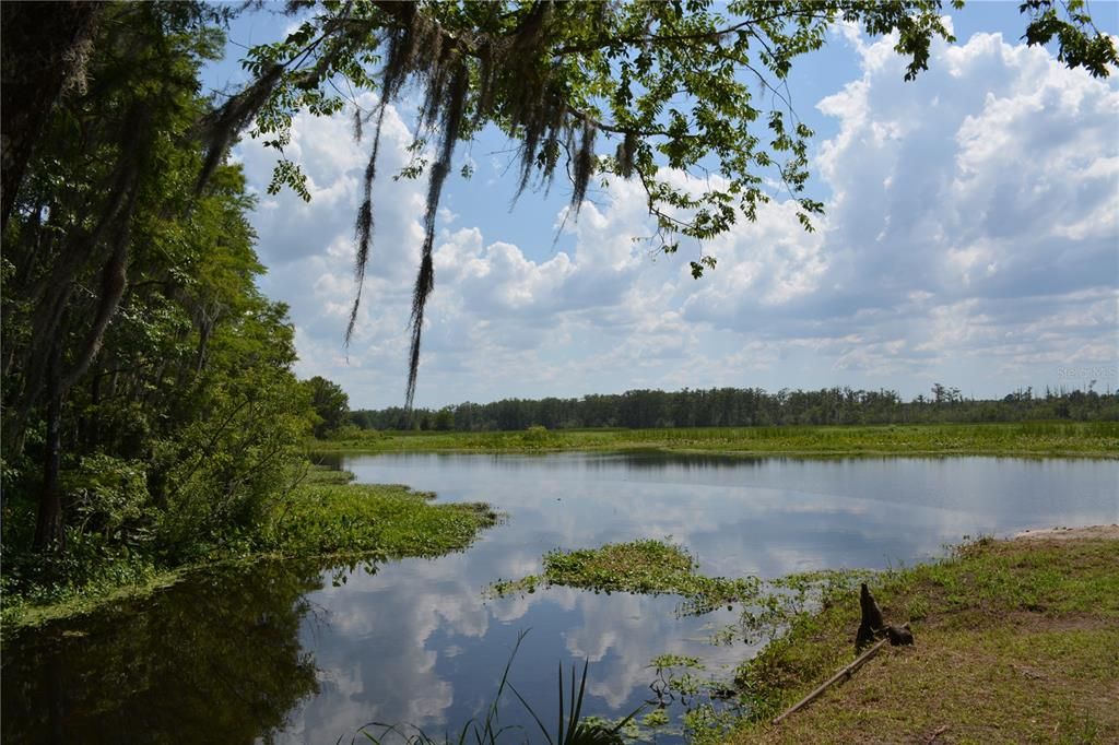 待售: $169,999 (3 贝兹, 2 浴室, 1080 平方英尺)