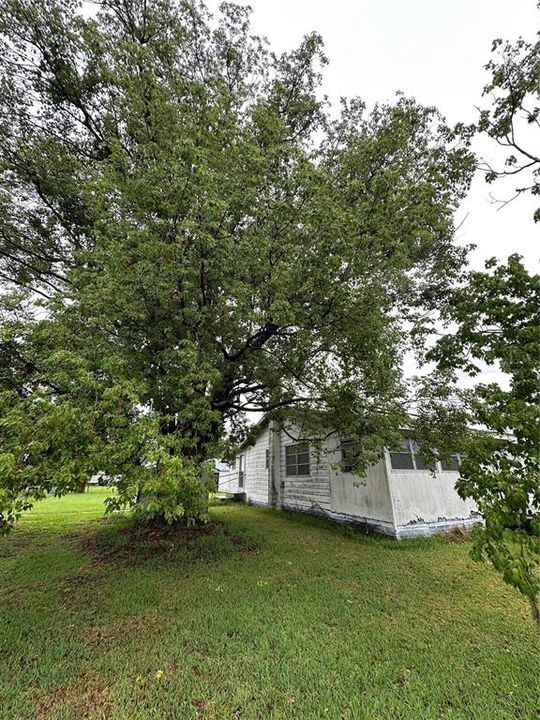 For Sale: $2,500,000 (3 beds, 2 baths, 1170 Square Feet)