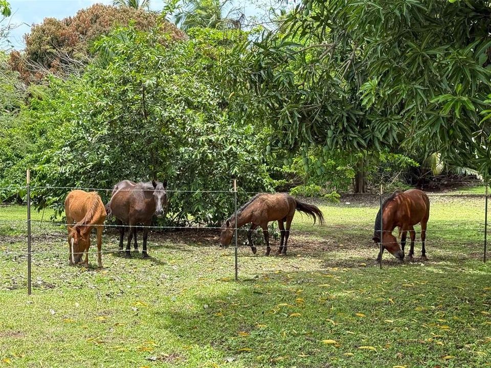For Sale: $399,000 (3 beds, 2 baths, 1103 Square Feet)