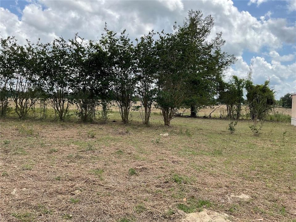 En Venta: $225,000 (10.00 acres)