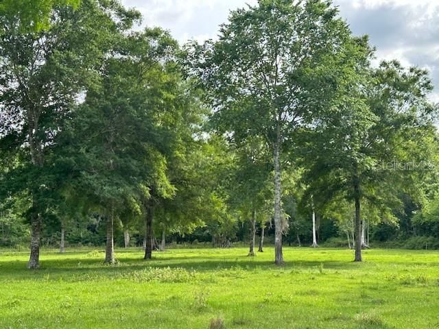 For Sale: $899,000 (22.07 acres)