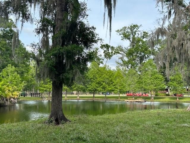 For Sale: $899,000 (22.07 acres)