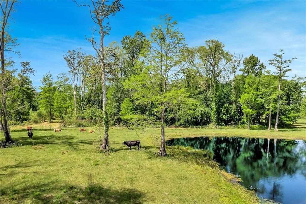 For Sale: $899,000 (22.07 acres)