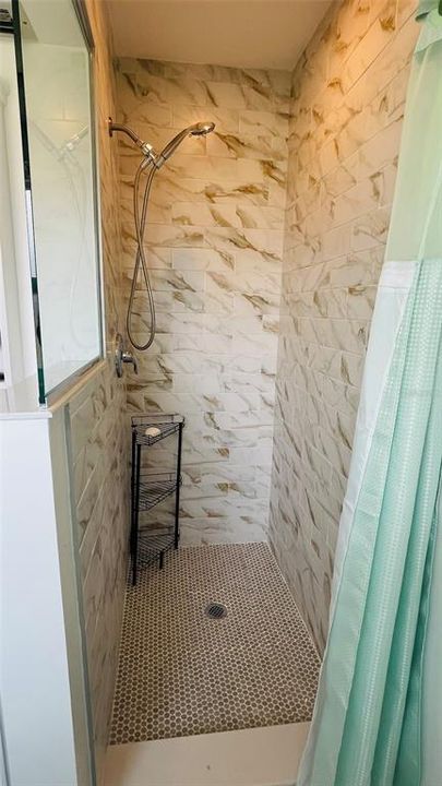 Primary Bath Shower