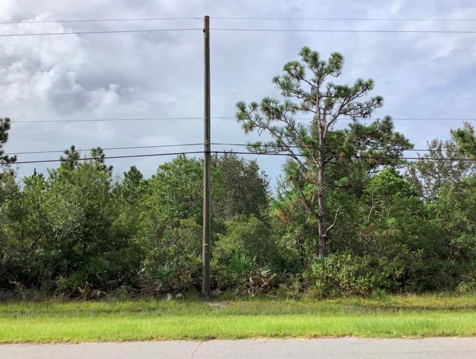 待售: $96,000 (1.03 acres)