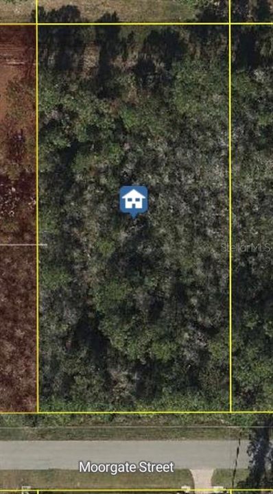 待售: $96,000 (1.03 acres)