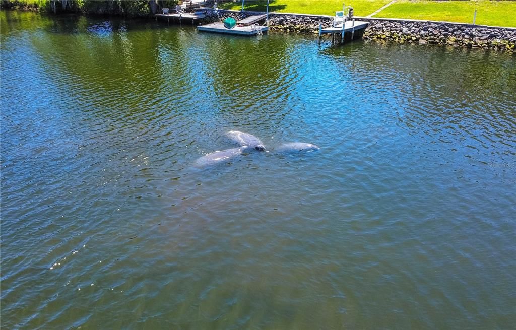 For Sale: $559,000 (3 beds, 2 baths, 1224 Square Feet)