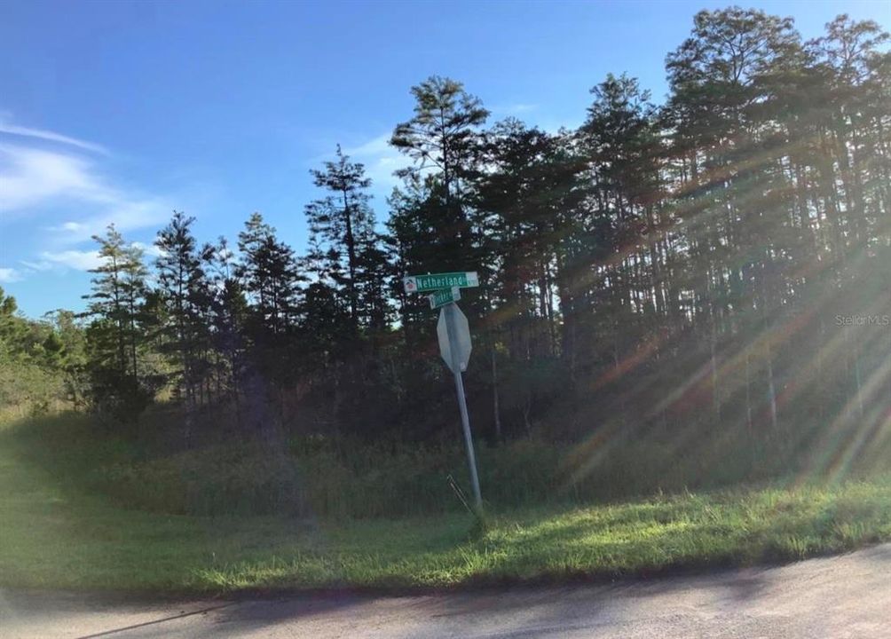 For Sale: $96,000 (1.03 acres)