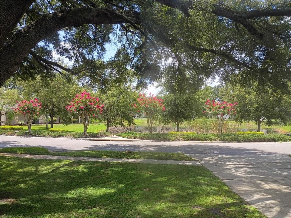 En Venta: $419,299 (4 camas, 2 baños, 1836 Pies cuadrados)