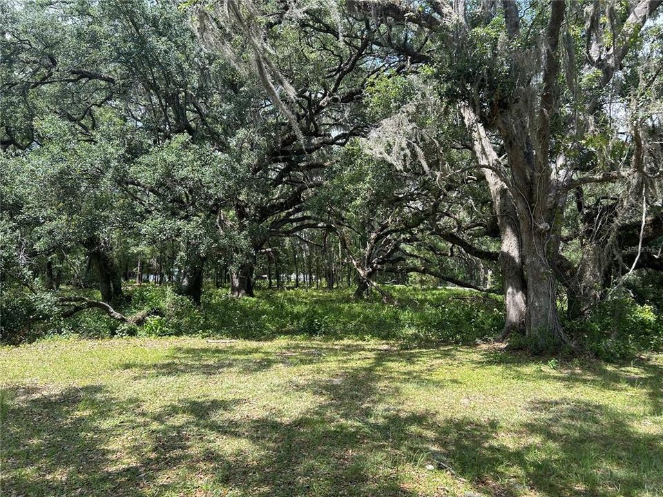 最近售出: $109,000 (3.31 acres)