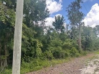 For Sale: $20,000 (0.65 acres)