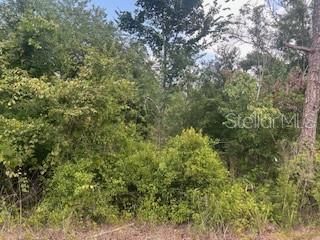 For Sale: $20,000 (0.65 acres)