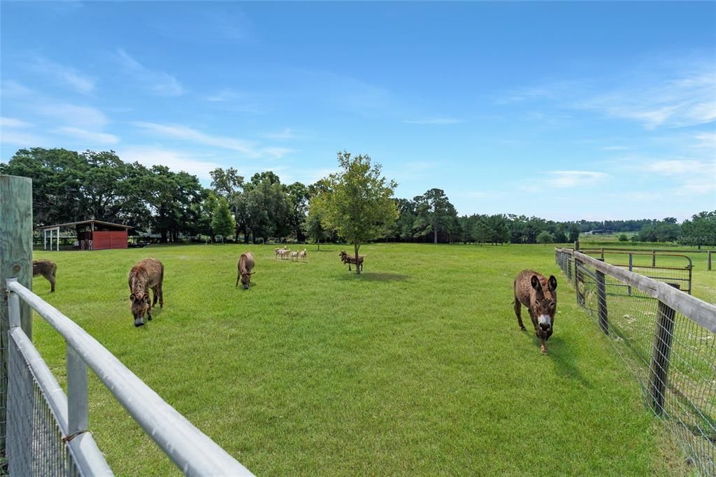 待售: $948,900 (6 贝兹, 4 浴室, 3200 平方英尺)