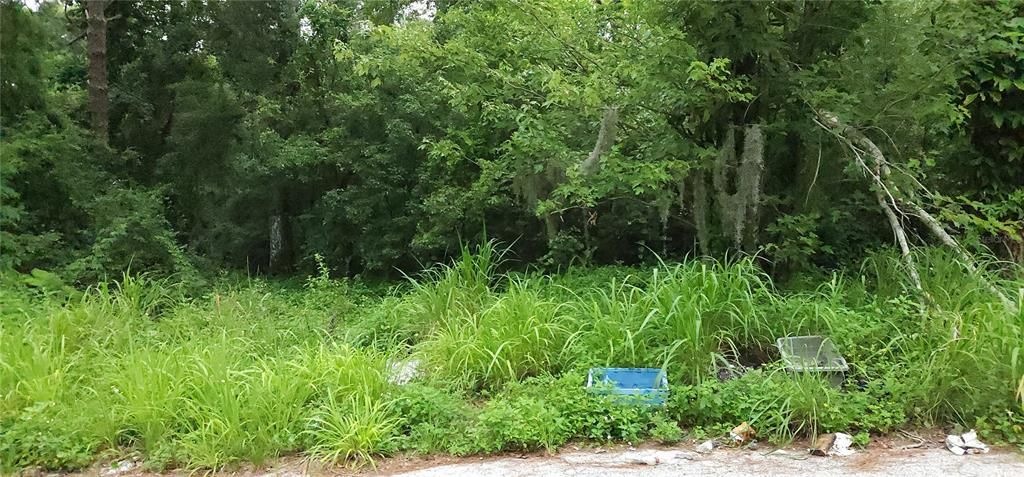 待售: $54,990 (0.31 acres)