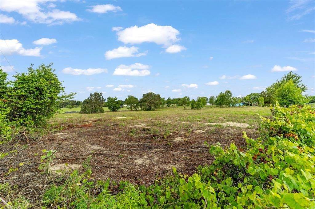 Под контрактом: $279,500 (3 спален, 2 ванн, 1094 Квадратных фут)