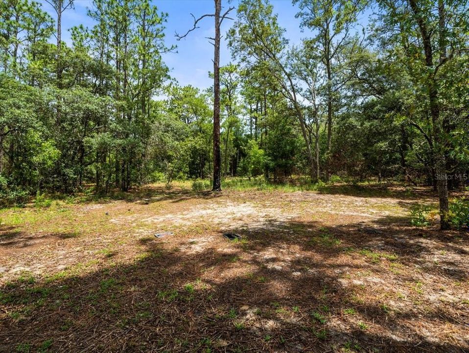 Под контрактом: $550,000 (4 спален, 3 ванн, 2724 Квадратных фут)