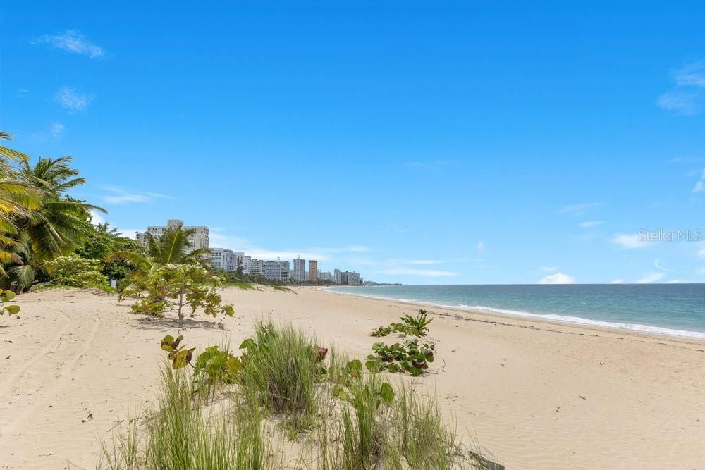 Active With Contract: $1,395,000 (4 beds, 2 baths, 1800 Square Feet)