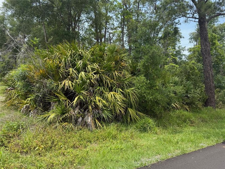 Vendido Recientemente: $39,900 (0.26 acres)