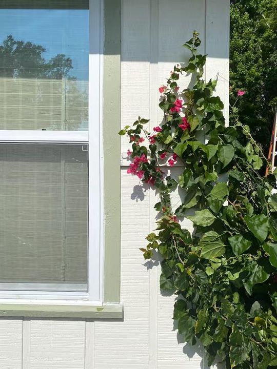 For Rent: $3,600 (3 beds, 2 baths, 1347 Square Feet)