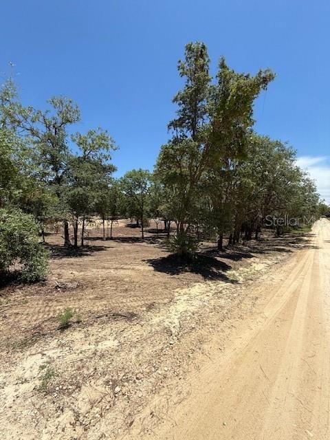 待售: $36,000 (1.37 acres)