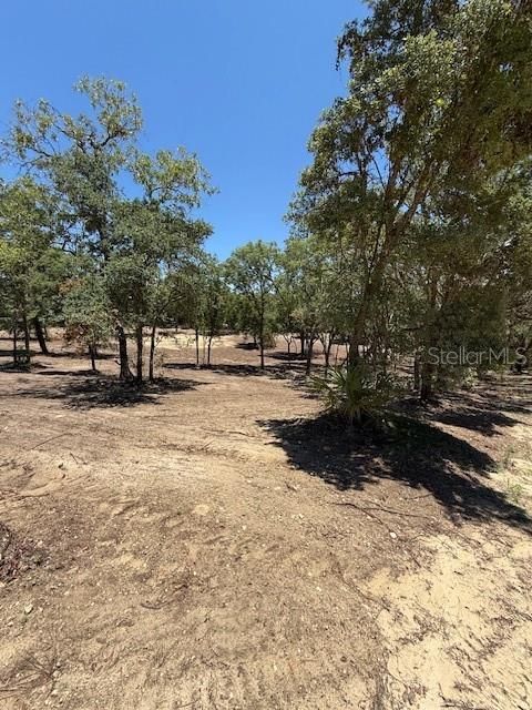 待售: $36,000 (1.37 acres)