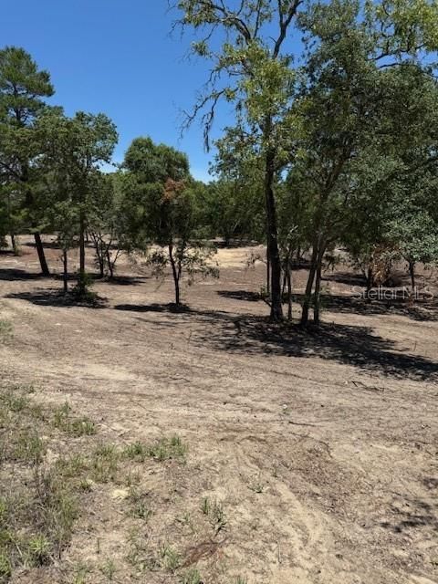 待售: $36,000 (1.37 acres)