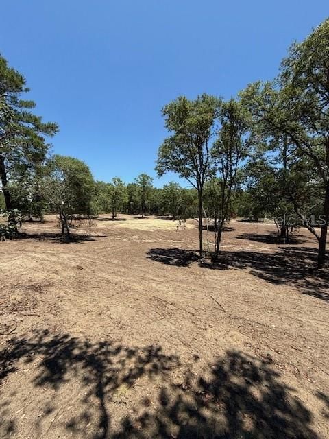 待售: $36,000 (1.37 acres)