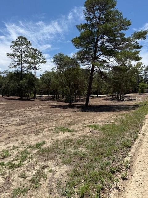 待售: $36,000 (1.37 acres)