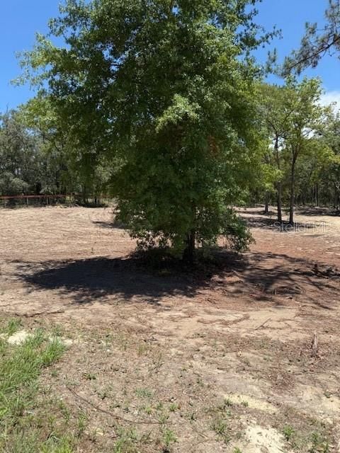 待售: $36,000 (1.37 acres)