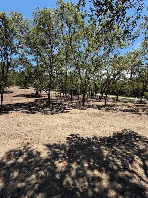 待售: $36,000 (1.37 acres)