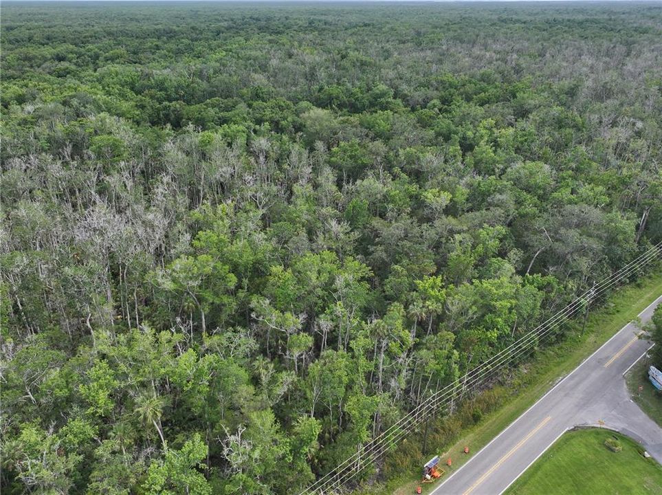 For Sale: $245,000 (9.87 acres)