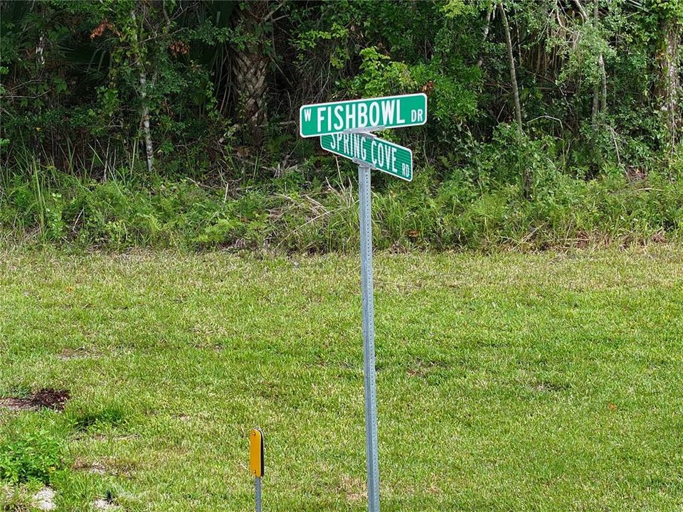 For Sale: $245,000 (9.87 acres)