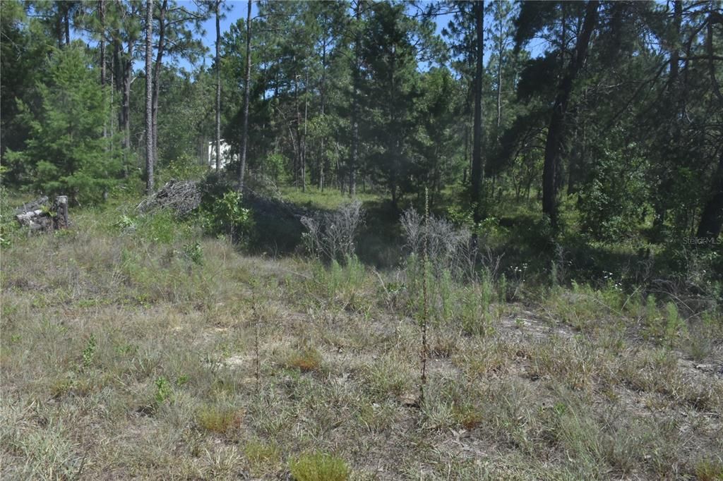 En Venta: $29,999 (1.25 acres)