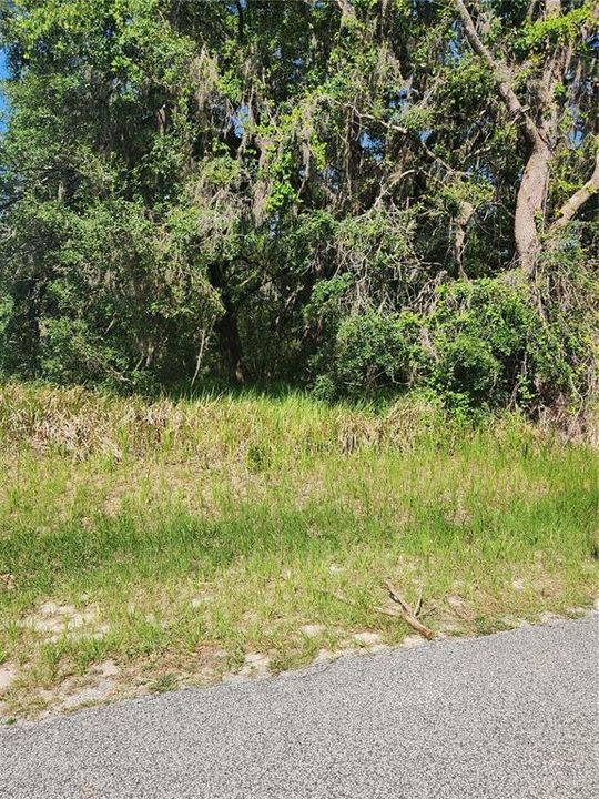 En Venta: $25,000 (0.23 acres)