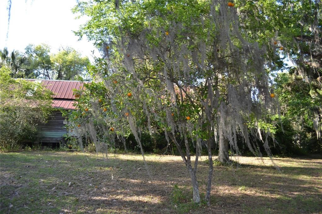 待售: $499,900 (2 贝兹, 1 浴室, 1787 平方英尺)