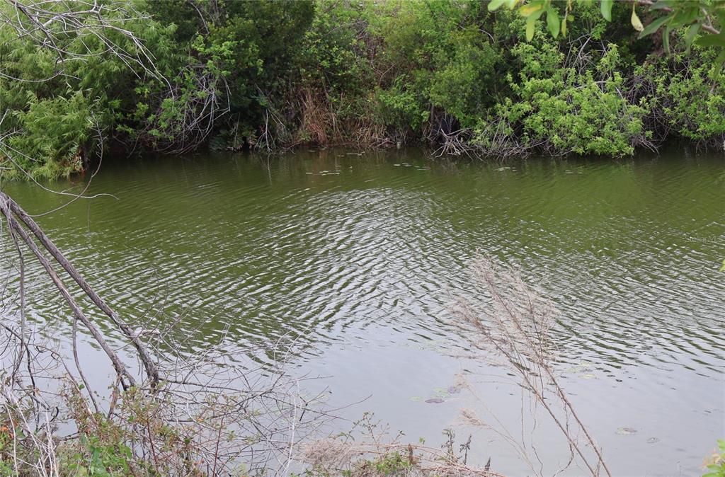 На продажу: $75,000 (0.23 acres)