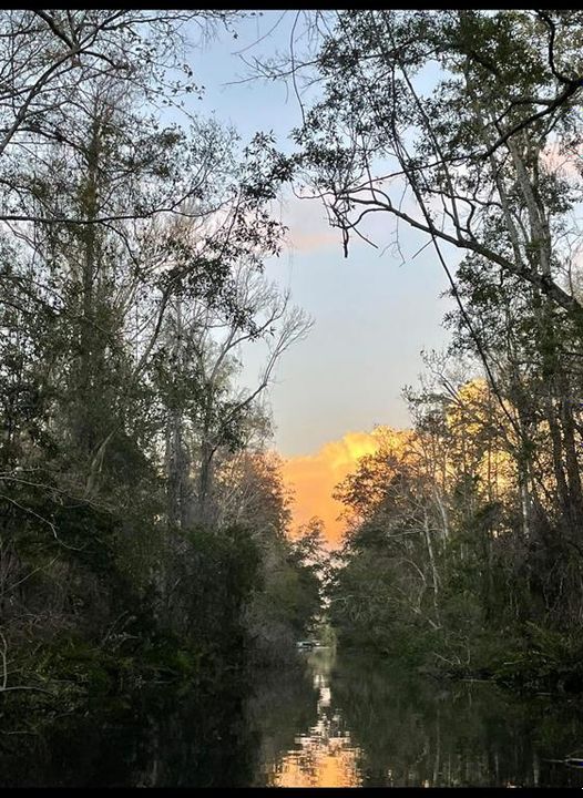 En Venta: $284,900 (3 camas, 2 baños, 1512 Pies cuadrados)