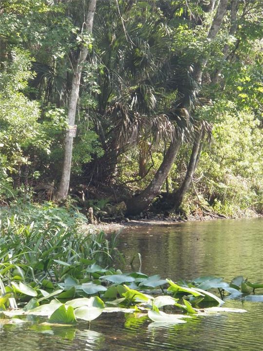 En Venta: $284,900 (3 camas, 2 baños, 1512 Pies cuadrados)